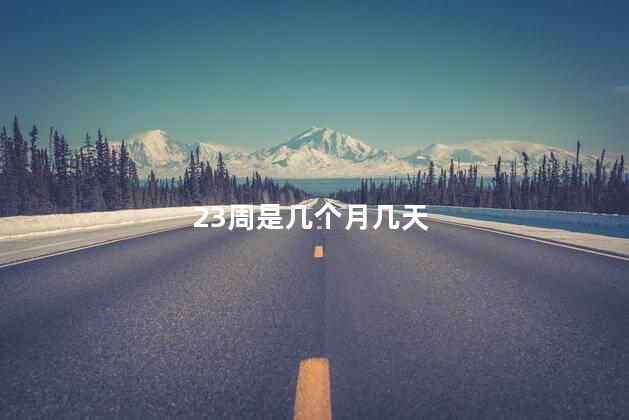 23周是几个月几天