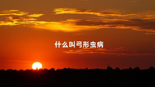 什么叫弓形虫病
