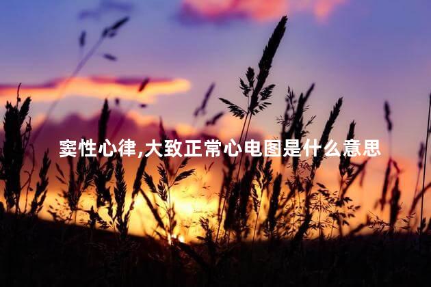 窦性心律,大致正常心电图是什么意思