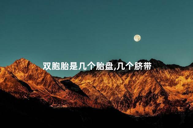 双胞胎是几个胎盘,几个脐带