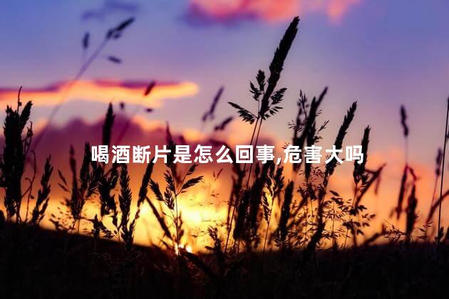 喝酒断片是怎么回事,危害大吗