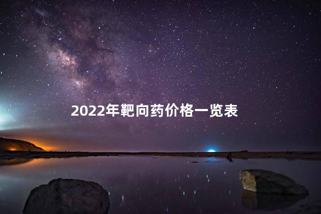 2022年靶向药价格一览表