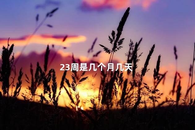 23周是几个月几天