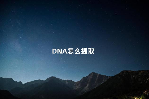 DNA怎么提取