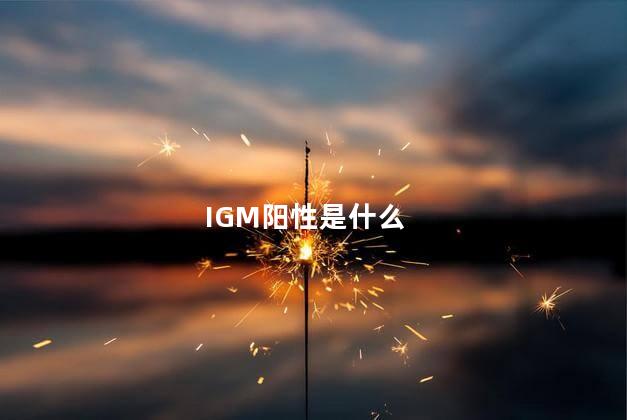 IGM阳性是什么