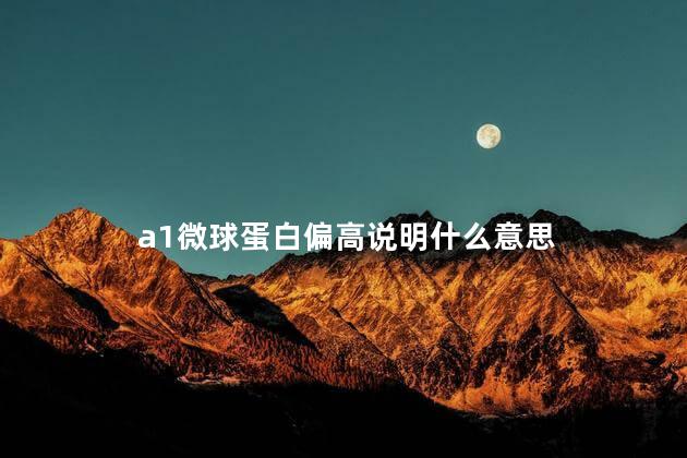 a1微球蛋白偏高说明什么意思