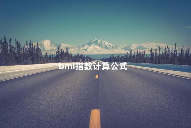 bmi指数计算公式