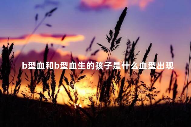 b型血和b型血生的孩子是什么血型出现别的血型怎么办