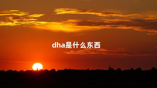 dha是什么东西