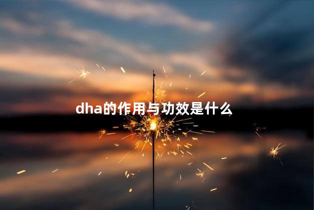 dha的作用与功效是什么