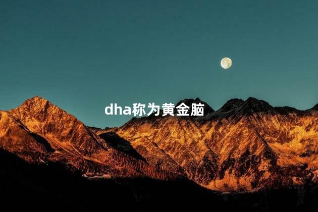 dha称为黄金脑