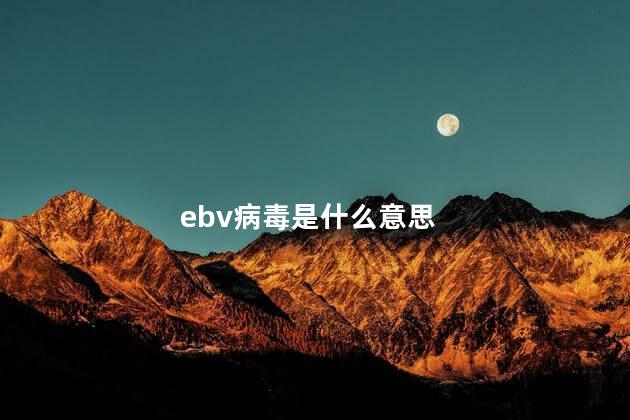 ebv病毒是什么意思