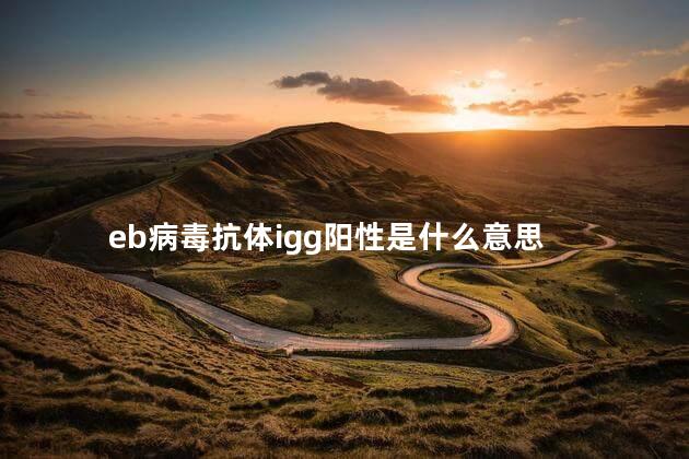 eb病毒抗体igg阳性是什么意思