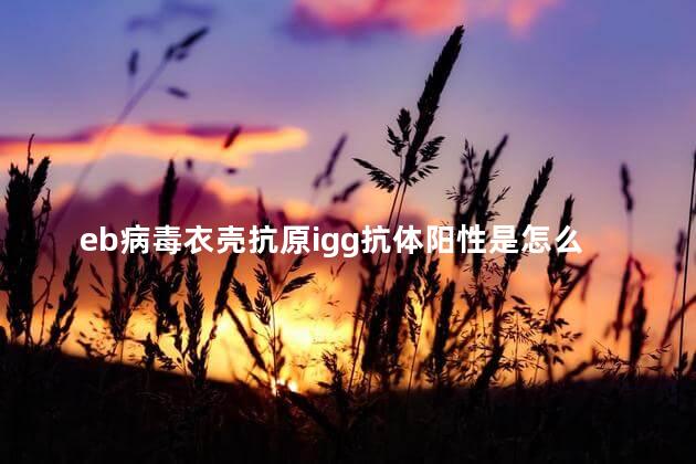 eb病毒衣壳抗原igg抗体阳性是怎么回事