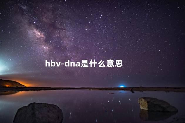 hbv-dna是什么意思