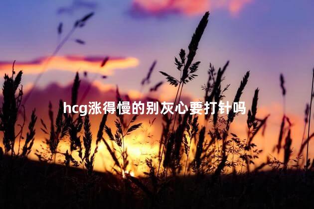 hcg涨得慢的别灰心要打针吗