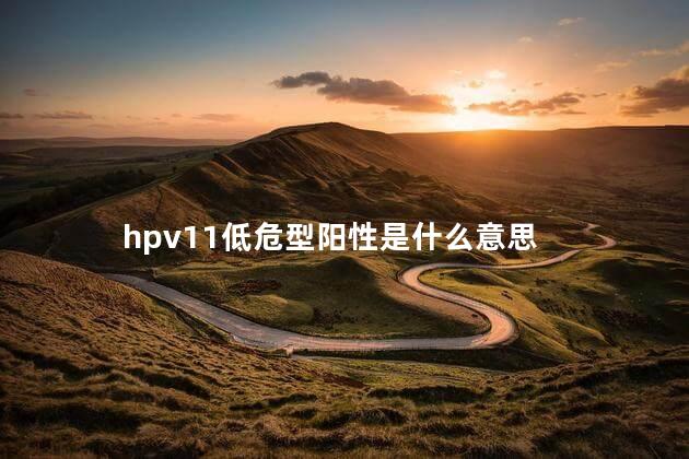 hpv11低危型阳性是什么意思