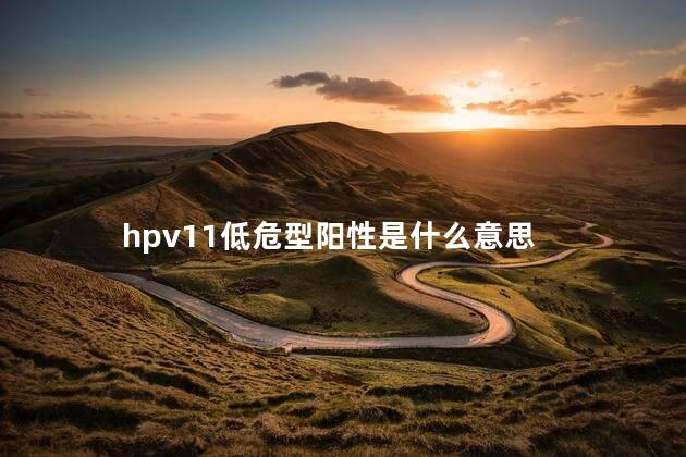 hpv11低危型阳性是什么意思