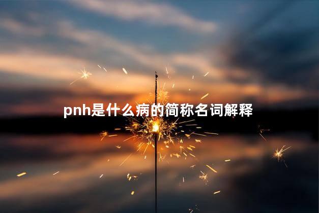 pnh是什么病的简称名词解释，PNH是什么病的缩写