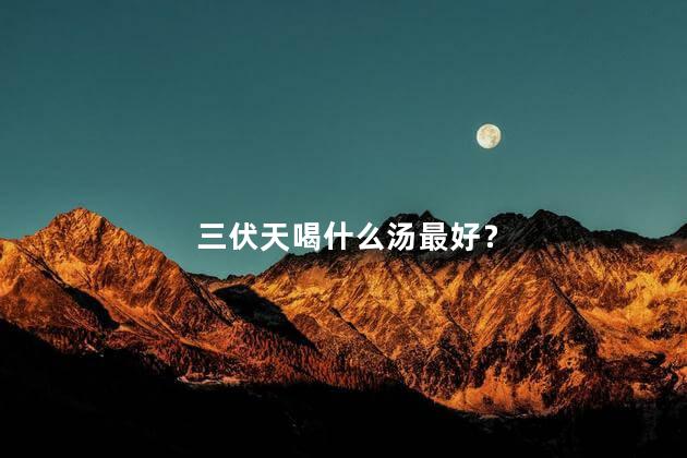 三伏天喝什么汤最好？