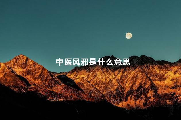 中医风邪是什么意思