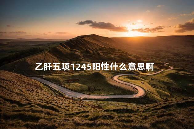 乙肝五项1245阳性什么意思啊