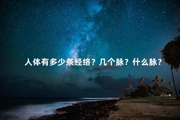 人体有多少条经络？几个脉？什么脉？