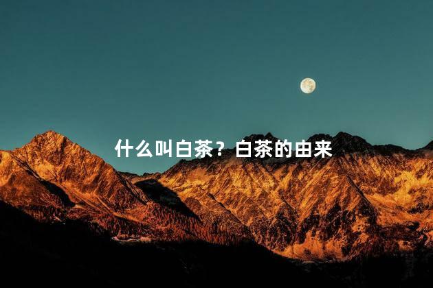 什么叫白茶？白茶的由来