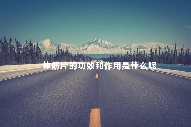 伸筋片的功效和作用是什么呢