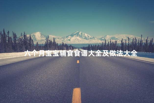 六个月宝宝辅食食谱大全及做法大全
