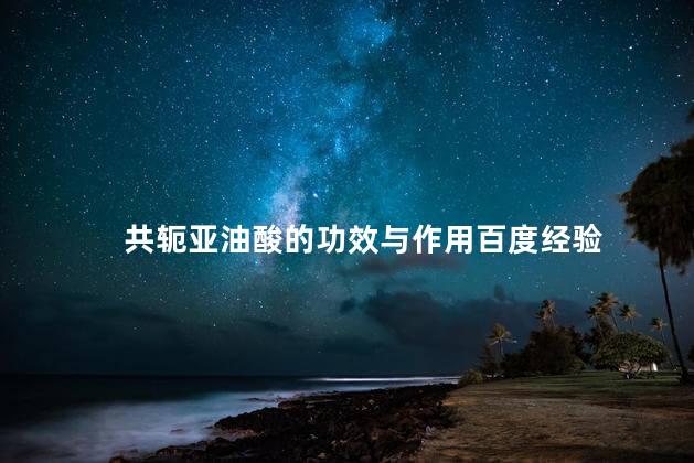 共轭亚油酸的功效与作用百度经验，共轭亚油酸有什么功效