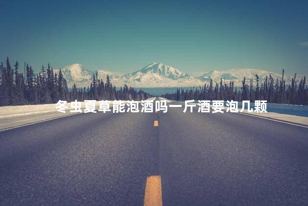 冬虫夏草能泡酒吗一斤酒要泡几颗