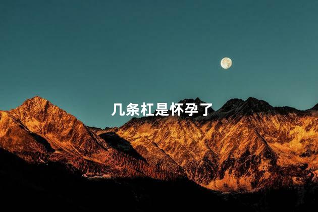 几条杠是怀孕了