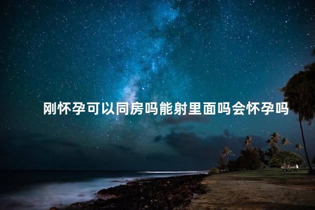 刚怀孕可以同房吗能射里面吗会怀孕吗