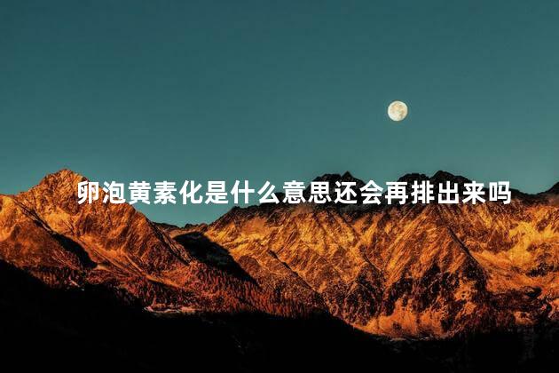 卵泡黄素化是什么意思还会再排出来吗