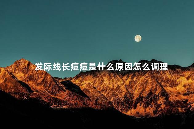 发际线长痘痘是什么原因怎么调理