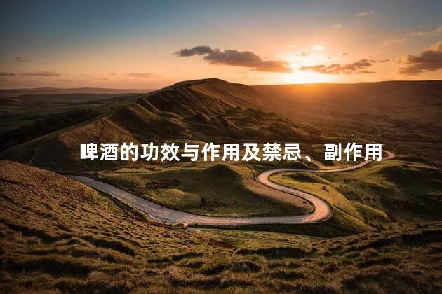 啤酒的功效与作用及禁忌、副作用
