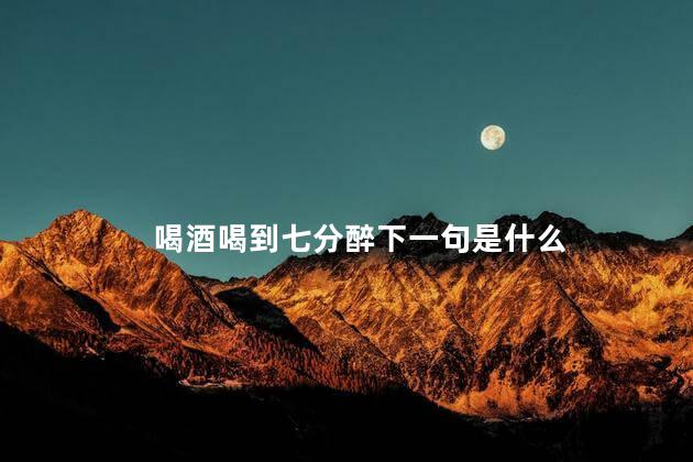 喝酒喝到七分醉下一句是什么，喝酒喝到七分醉演戏演到你流泪