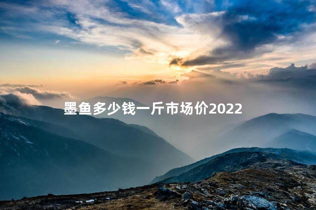 墨鱼多少钱一斤市场价2022