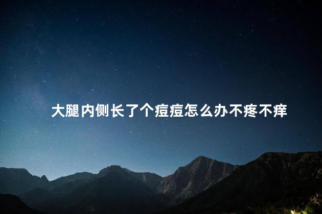 大腿内侧长了个痘痘怎么办不疼不痒，大腿内侧长了个痘痘怎么办不痛不痒