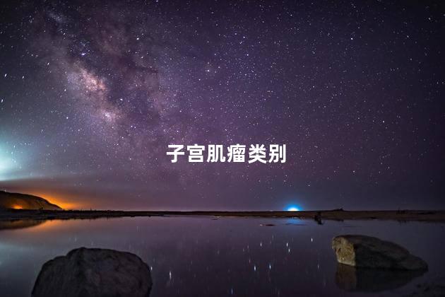 子宫肌瘤类别