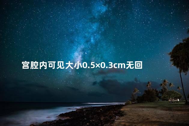 宫腔内可见大小0.5×0.3cm无回声什么意思啊？