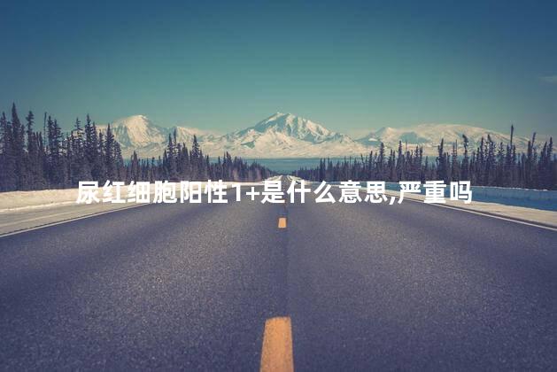 尿红细胞阳性1+是什么意思,严重吗