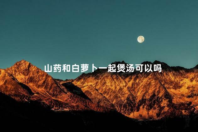 山药和白萝卜一起煲汤可以吗