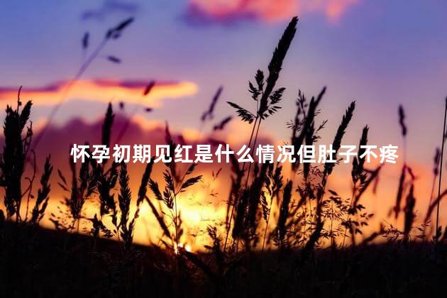 怀孕初期见红是什么情况但肚子不疼