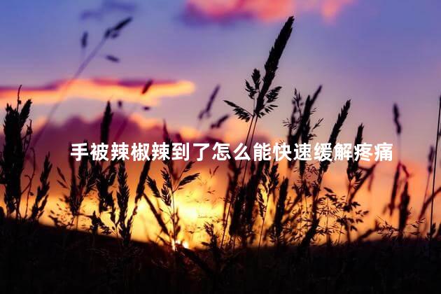 手被辣椒辣到了怎么能快速缓解疼痛