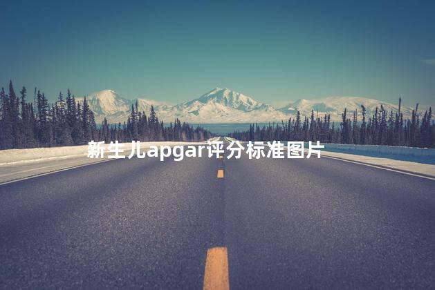 新生儿apgar评分标准图片