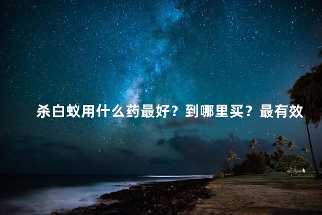 杀白蚁用什么药最好？到哪里买？最有效的药