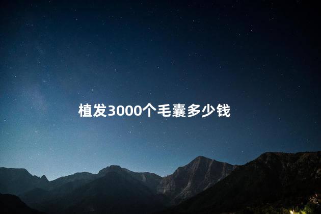 植发3000个毛囊多少钱