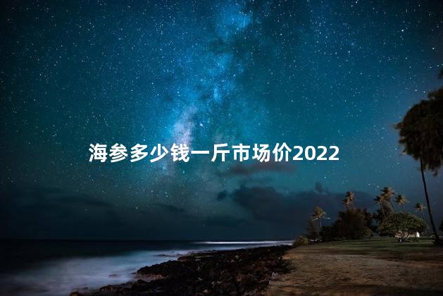 海参多少钱一斤市场价2022